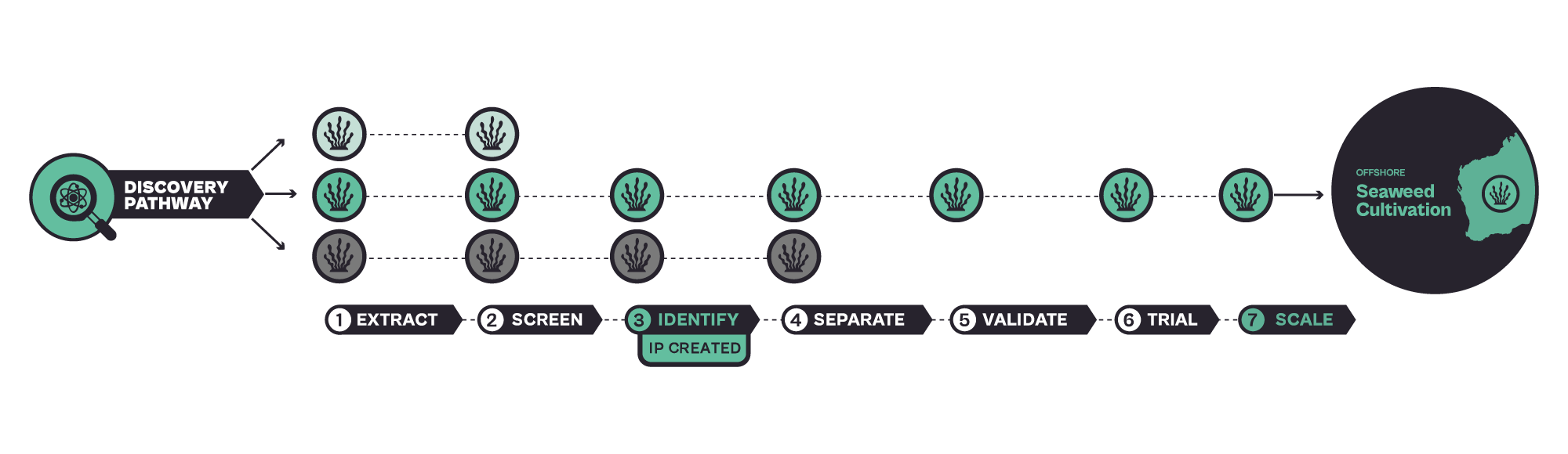 Canopy Blue Bioprospecting Discovery pathway