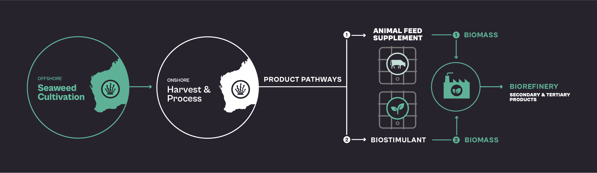 Canopy Blue Production Pathways